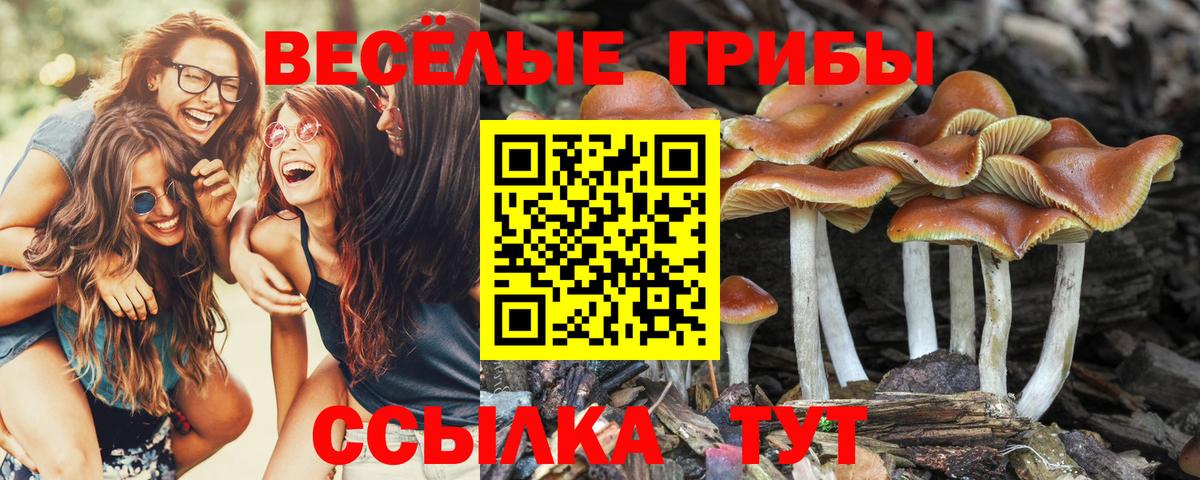 Галлюциногенные грибы ЛСД  Вход с VPN  Ирбит  Псилоцибиновые грибы GOLDEN TEACHER 